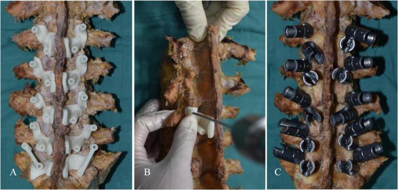 https://cdn.ncbi.nlm.nih.gov/pmc/blobs/ea2e/7983373/f372bc8b3d3b/12891_2021_4149_Fig3_HTML.jpg