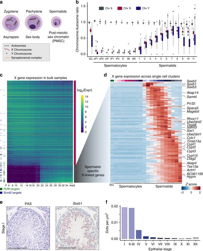https://cdn.ncbi.nlm.nih.gov/pmc/blobs/ea30/6424977/81f7c4b8410f/41467_2019_9182_Fig7_HTML.jpg