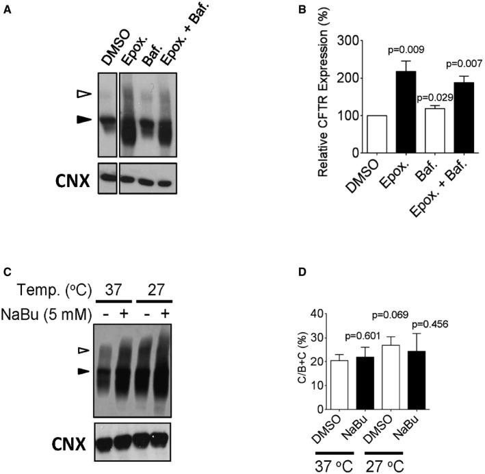 https://cdn.ncbi.nlm.nih.gov/pmc/blobs/ea31/5582412/0e0ed3a7cc4a/EMMM-9-1224-g007.jpg