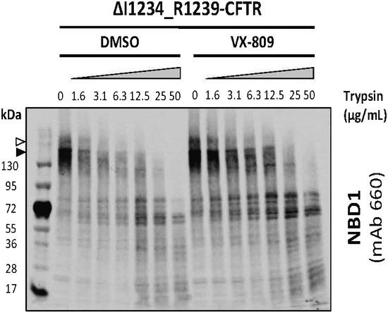 https://cdn.ncbi.nlm.nih.gov/pmc/blobs/ea31/5582412/9ee40fcaf835/EMMM-9-1224-g009.jpg