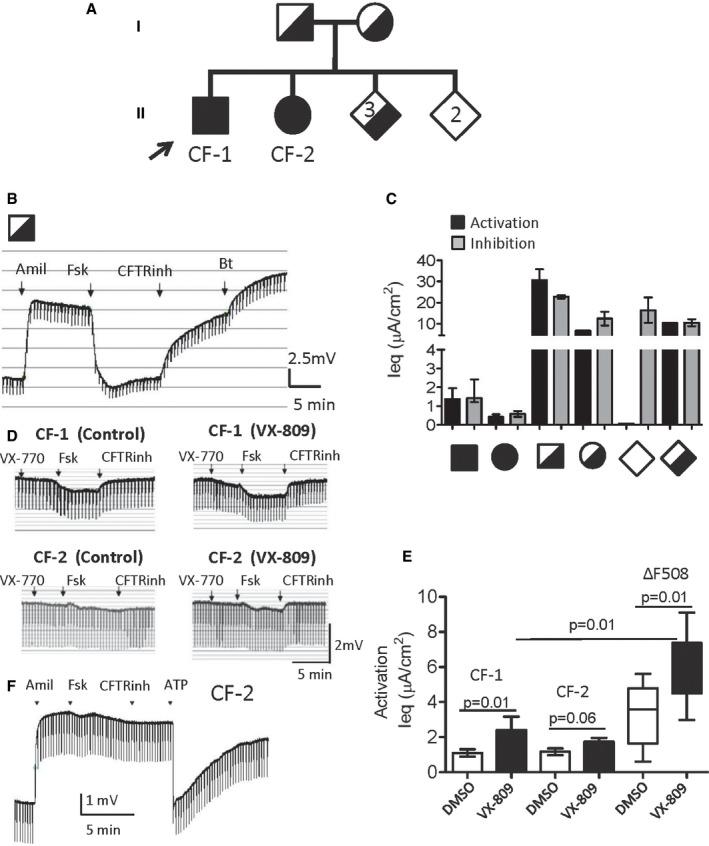 https://cdn.ncbi.nlm.nih.gov/pmc/blobs/ea31/5582412/dbfad3238298/EMMM-9-1224-g012.jpg
