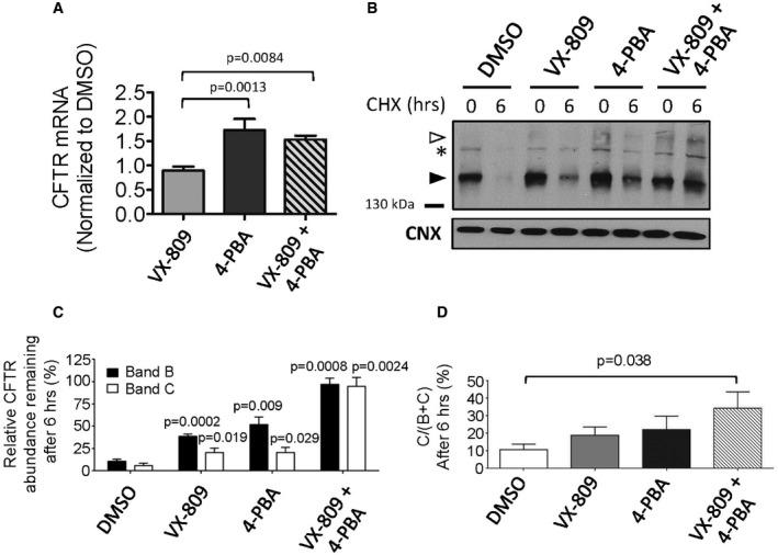 https://cdn.ncbi.nlm.nih.gov/pmc/blobs/ea31/5582412/fb317b8c08c8/EMMM-9-1224-g013.jpg