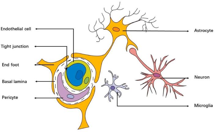 https://cdn.ncbi.nlm.nih.gov/pmc/blobs/ea32/11786670/8e5f2b25f22f/gr1.jpg
