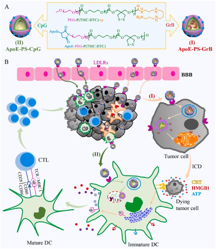 https://cdn.ncbi.nlm.nih.gov/pmc/blobs/ea32/11786670/c1c24797ac6a/gr3.jpg