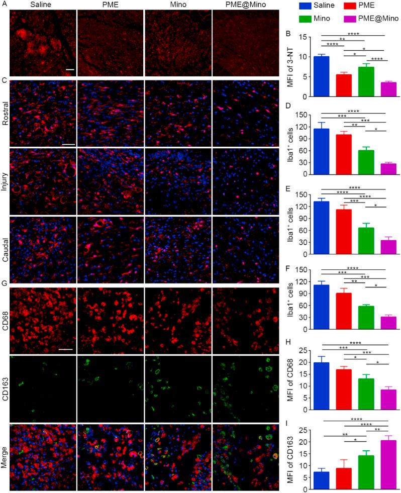 https://cdn.ncbi.nlm.nih.gov/pmc/blobs/ea32/12398927/25a9837c24fb/gr7.jpg