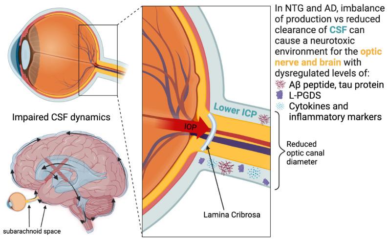 https://cdn.ncbi.nlm.nih.gov/pmc/blobs/ea36/11012506/1c1a301e9521/jcm-13-01948-g002.jpg
