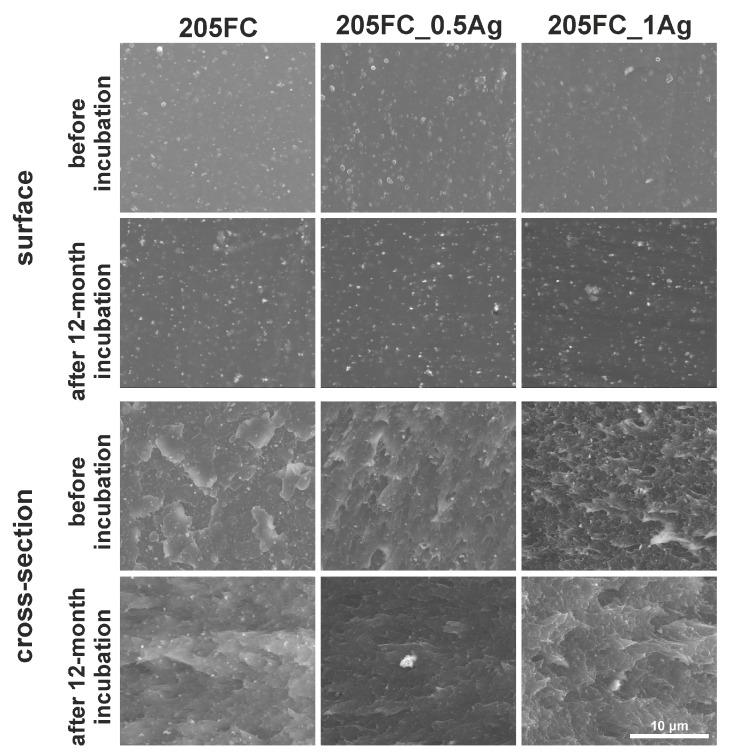 https://cdn.ncbi.nlm.nih.gov/pmc/blobs/ea36/6359626/ce76776e504e/nanomaterials-09-00061-g001.jpg