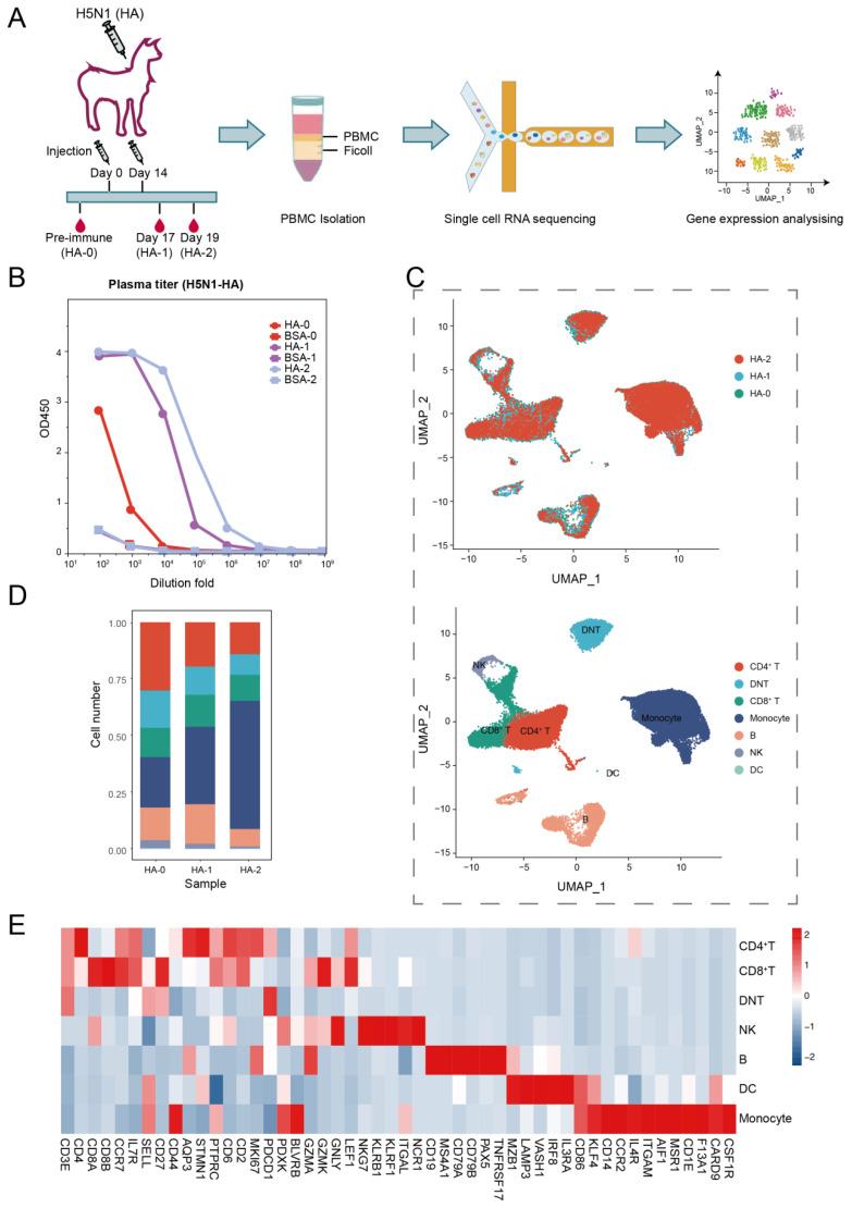 https://cdn.ncbi.nlm.nih.gov/pmc/blobs/ea36/9855979/4875ac0e6a5e/biomolecules-13-00060-g001.jpg