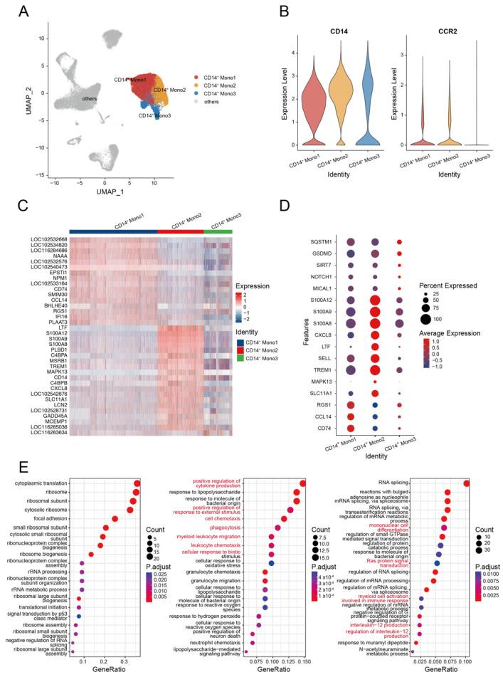 https://cdn.ncbi.nlm.nih.gov/pmc/blobs/ea36/9855979/5bc3ec1b574b/biomolecules-13-00060-g002.jpg