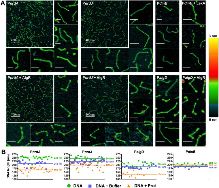 https://cdn.ncbi.nlm.nih.gov/pmc/blobs/ea37/5738425/ede3f7ab582c/41598_2017_17917_Fig4_HTML.jpg