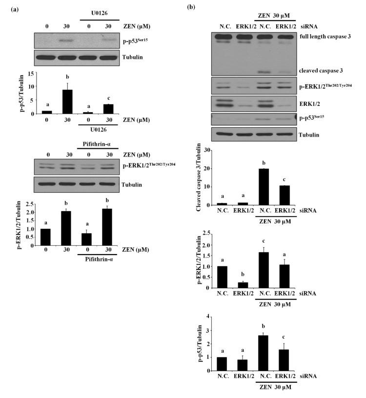 https://cdn.ncbi.nlm.nih.gov/pmc/blobs/ea38/8001463/7e2c77a986c5/toxins-13-00187-g004a.jpg