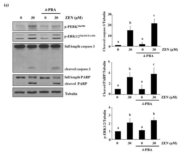 https://cdn.ncbi.nlm.nih.gov/pmc/blobs/ea38/8001463/b9efd9f659e4/toxins-13-00187-g008a.jpg