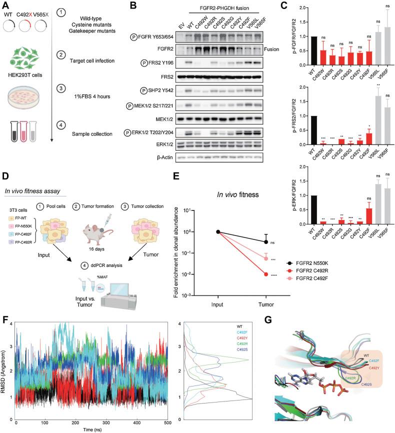 https://cdn.ncbi.nlm.nih.gov/pmc/blobs/ea39/10767308/d06dd90cc999/198fig4.jpg