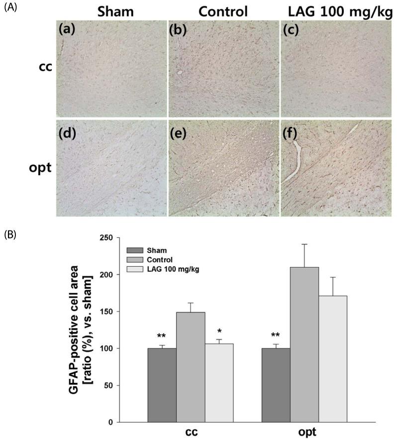 https://cdn.ncbi.nlm.nih.gov/pmc/blobs/ea39/5621360/7dfdcb20a430/nrp-11-381-g003.jpg