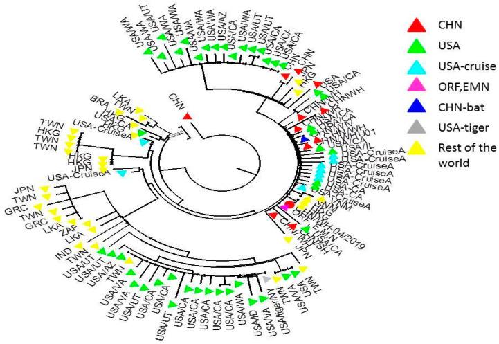 https://cdn.ncbi.nlm.nih.gov/pmc/blobs/ea39/7761006/595bcc877c9b/pathogens-09-00985-g002.jpg