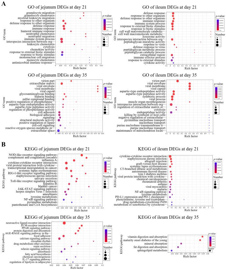 https://cdn.ncbi.nlm.nih.gov/pmc/blobs/ea3b/11456473/024b0a3bf47b/fimmu-15-1455996-g003.jpg