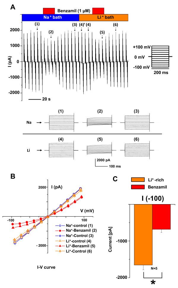 https://cdn.ncbi.nlm.nih.gov/pmc/blobs/ea3b/3042420/b2522234e5be/1472-6793-11-4-3.jpg