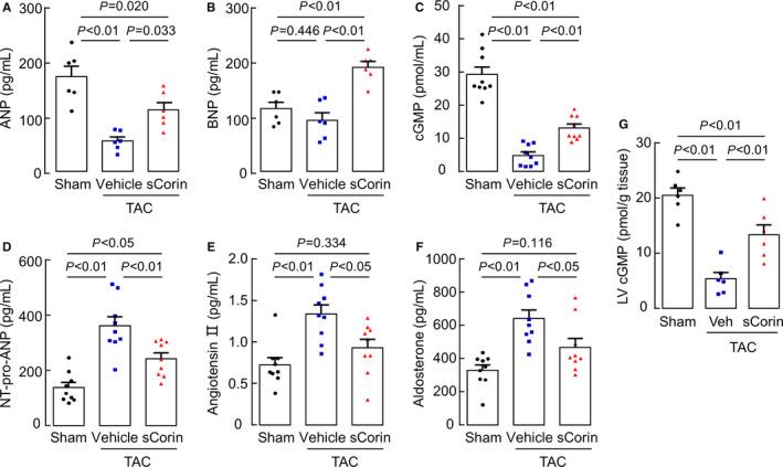 https://cdn.ncbi.nlm.nih.gov/pmc/blobs/ea3c/8174325/3eedcc6d597b/JAH3-10-e019961-g005.jpg
