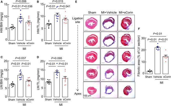 https://cdn.ncbi.nlm.nih.gov/pmc/blobs/ea3c/8174325/70de43ff07e8/JAH3-10-e019961-g002.jpg