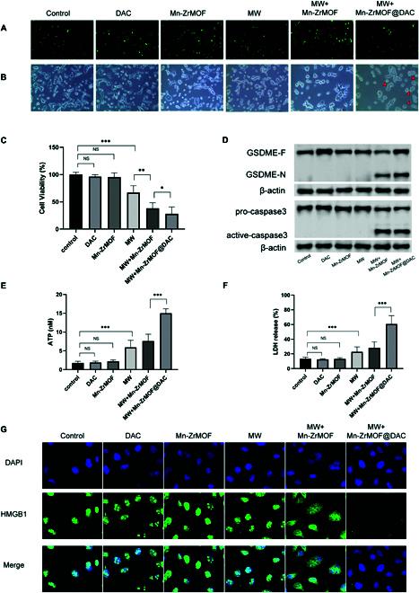https://cdn.ncbi.nlm.nih.gov/pmc/blobs/ea3e/12237075/1d23fd9ac62d/bmr.0077.fig.004.jpg
