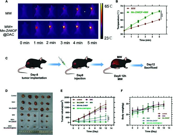 https://cdn.ncbi.nlm.nih.gov/pmc/blobs/ea3e/12237075/45df16d30d9c/bmr.0077.fig.005.jpg