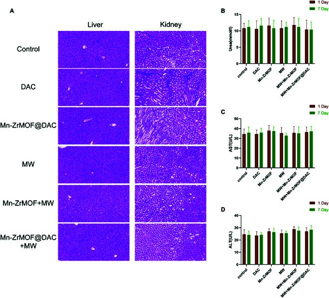 https://cdn.ncbi.nlm.nih.gov/pmc/blobs/ea3e/12237075/4bc9fc232867/bmr.0077.fig.008.jpg