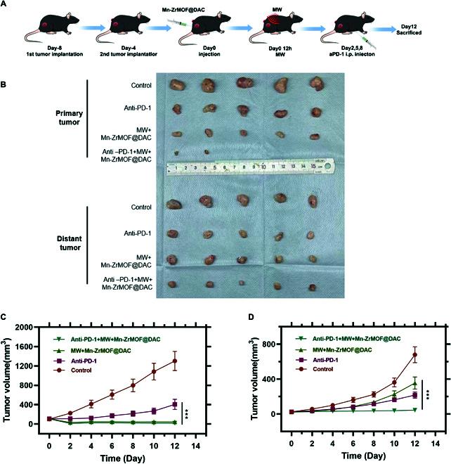https://cdn.ncbi.nlm.nih.gov/pmc/blobs/ea3e/12237075/f0001c8ab54b/bmr.0077.fig.007.jpg