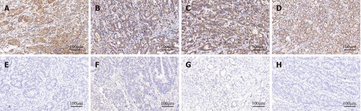 https://cdn.ncbi.nlm.nih.gov/pmc/blobs/ea3f/11756009/cc64c02dc776/97858-g003.jpg