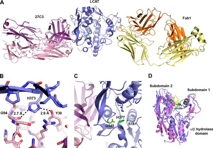 https://cdn.ncbi.nlm.nih.gov/pmc/blobs/ea3f/4742745/7ec6e3514007/zbc0071636280004.jpg