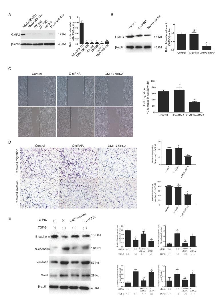 https://cdn.ncbi.nlm.nih.gov/pmc/blobs/ea42/10298119/4fec7e2c7f6c/genes-14-01157-g006.jpg