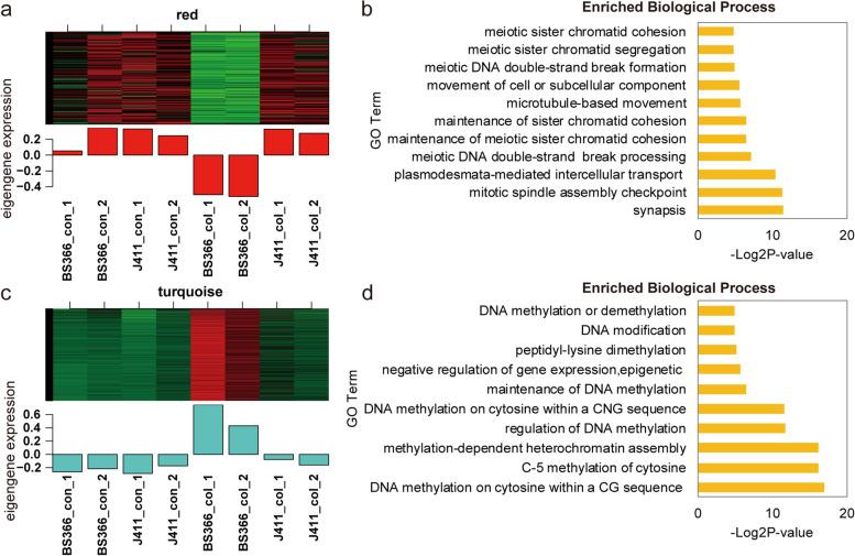 https://cdn.ncbi.nlm.nih.gov/pmc/blobs/ea42/8686610/8c54a57297ab/12864_2021_8163_Fig5_HTML.jpg