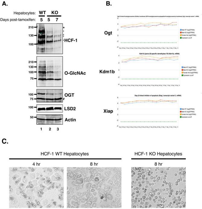 https://cdn.ncbi.nlm.nih.gov/pmc/blobs/ea43/12319091/14351aa5c5ae/41598_2025_11813_Fig2_HTML.jpg
