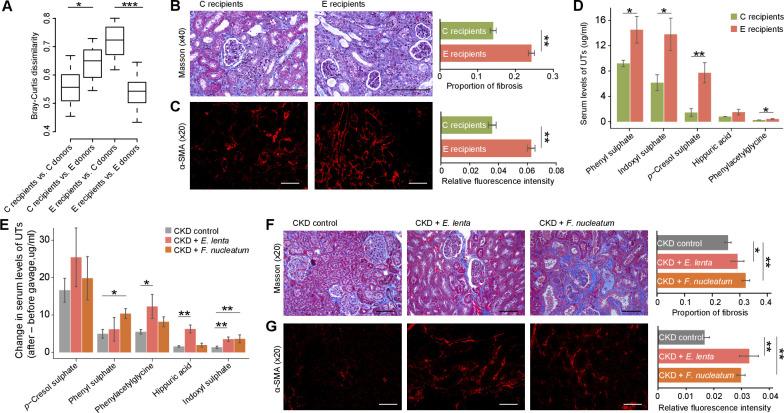 https://cdn.ncbi.nlm.nih.gov/pmc/blobs/ea43/7677483/12c855be804b/gutjnl-2019-319766f05.jpg
