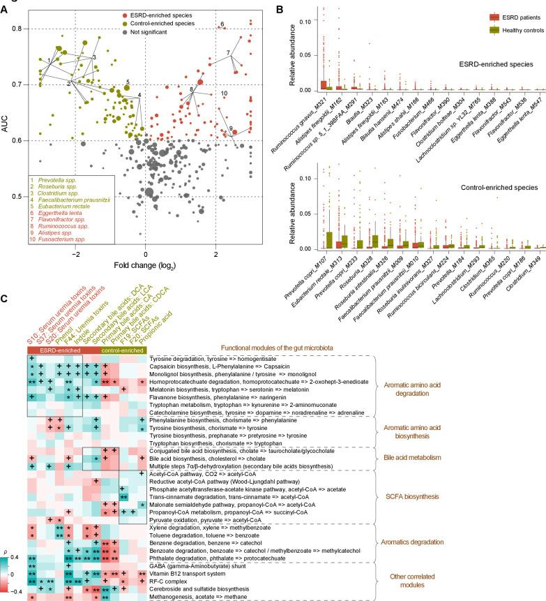 https://cdn.ncbi.nlm.nih.gov/pmc/blobs/ea43/7677483/2fa5d11a1e6f/gutjnl-2019-319766f02.jpg