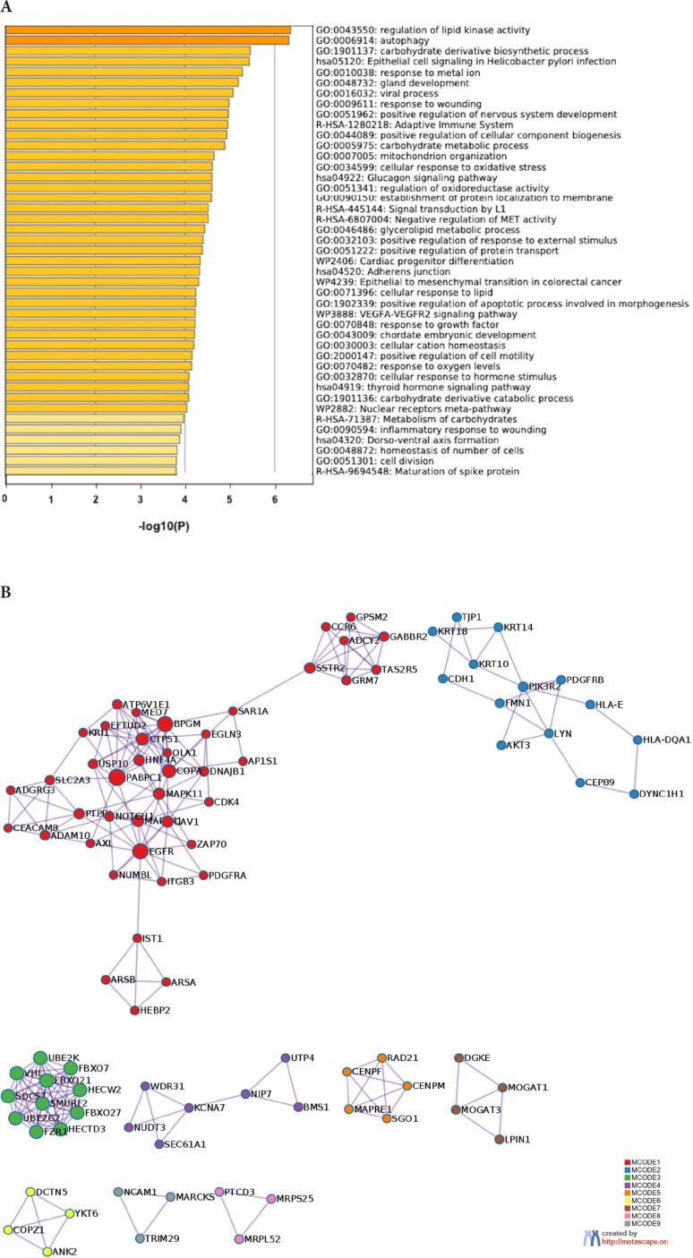 https://cdn.ncbi.nlm.nih.gov/pmc/blobs/ea44/10783813/4681f0e94fd6/pai-8-016-g005.jpg