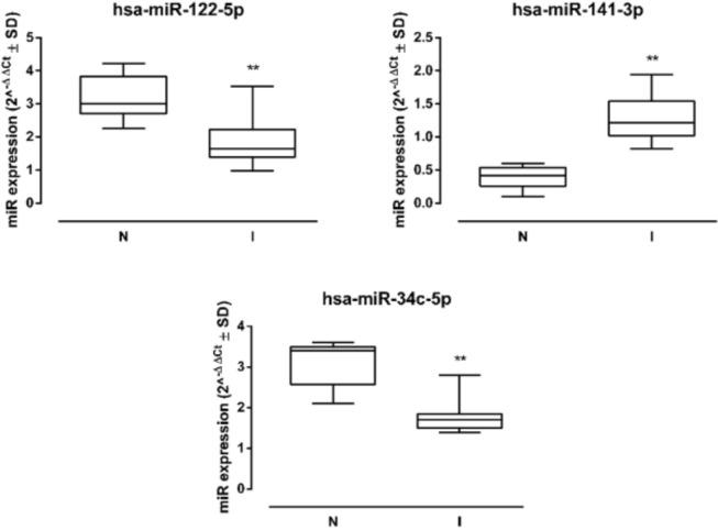 https://cdn.ncbi.nlm.nih.gov/pmc/blobs/ea44/10783813/683a00e08353/pai-8-016-g002.jpg