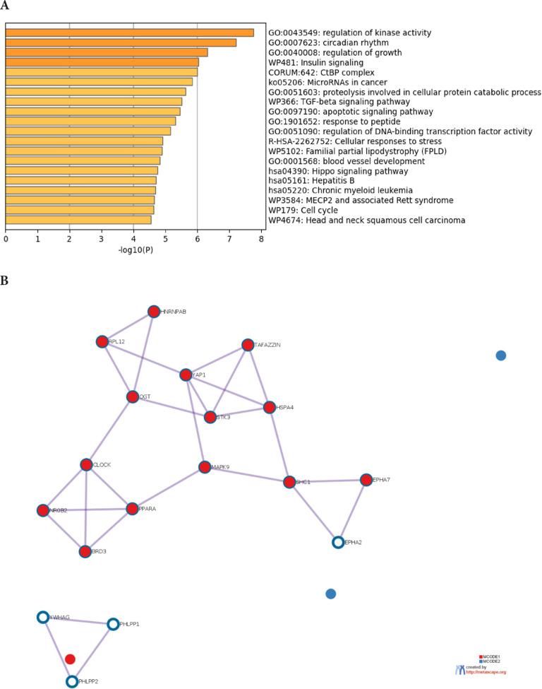 https://cdn.ncbi.nlm.nih.gov/pmc/blobs/ea44/10783813/a4497810f73d/pai-8-016-g004.jpg