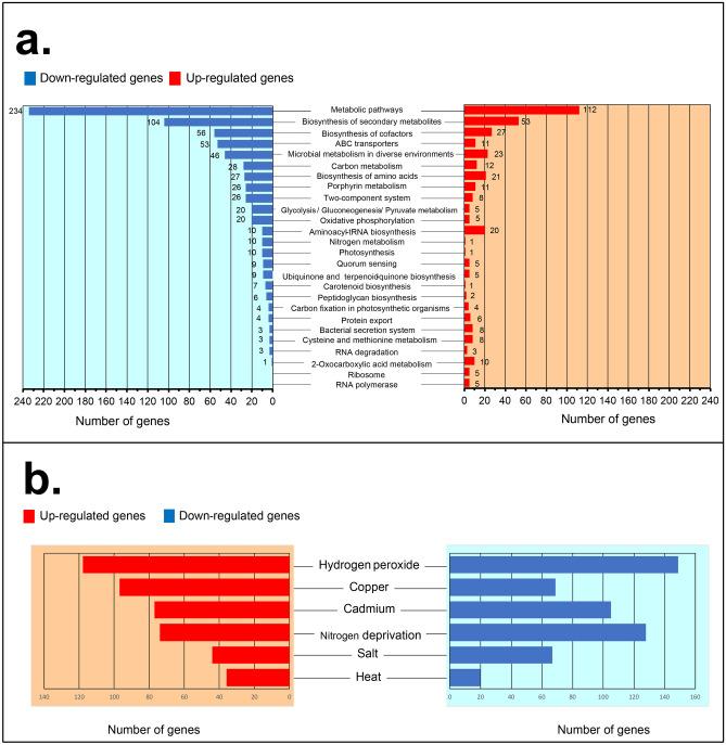 https://cdn.ncbi.nlm.nih.gov/pmc/blobs/ea44/11053131/35af08510c3c/41598_2024_60016_Fig6_HTML.jpg