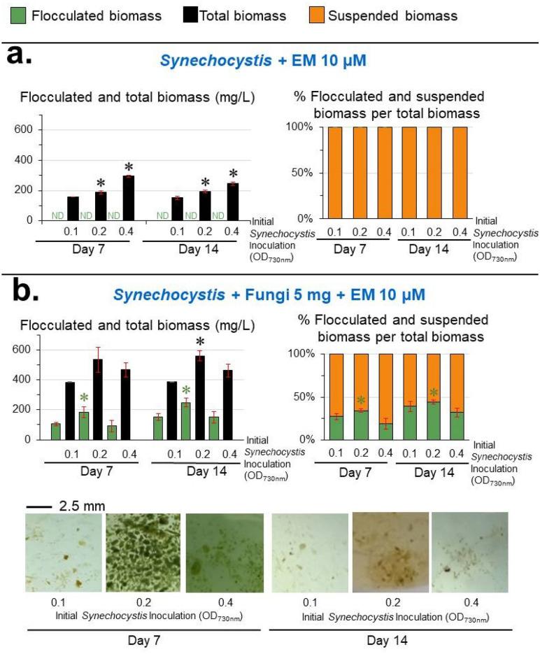 https://cdn.ncbi.nlm.nih.gov/pmc/blobs/ea44/11053131/d7705be78cce/41598_2024_60016_Fig4_HTML.jpg