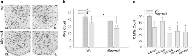 https://cdn.ncbi.nlm.nih.gov/pmc/blobs/ea44/4650434/372bf33846f0/cddis2015228f2.jpg