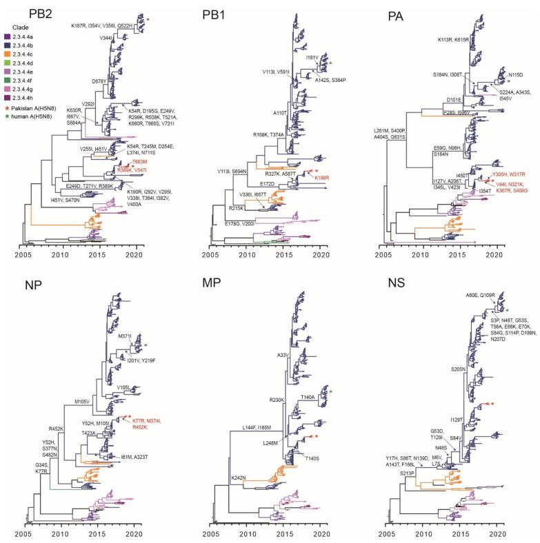 https://cdn.ncbi.nlm.nih.gov/pmc/blobs/ea44/8402709/12a40968acb2/viruses-13-01633-g004.jpg