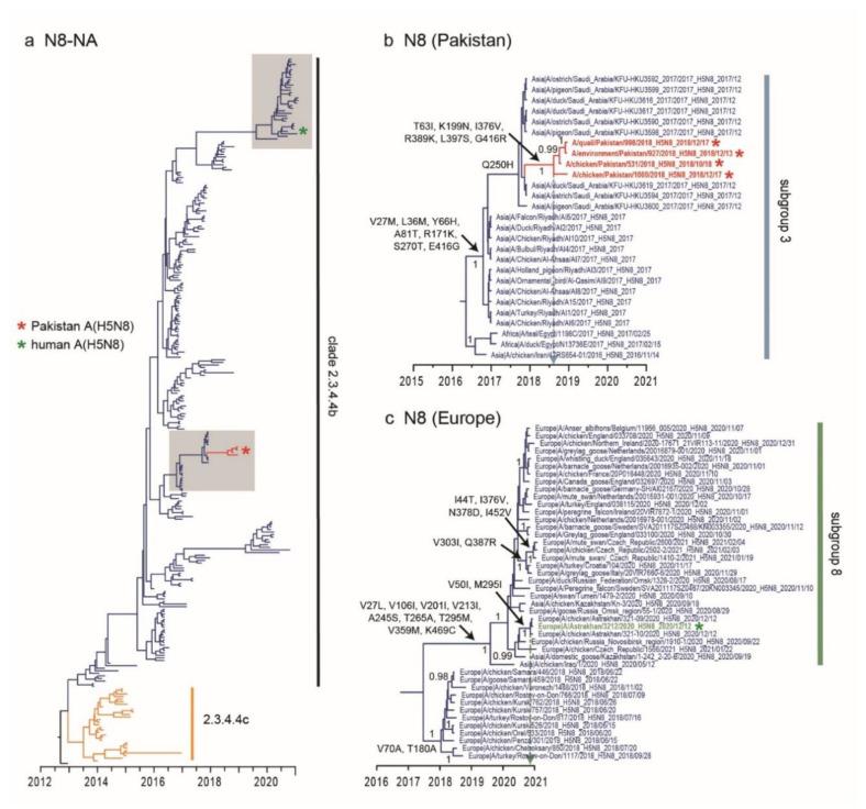 https://cdn.ncbi.nlm.nih.gov/pmc/blobs/ea44/8402709/99b0c157f88a/viruses-13-01633-g003.jpg
