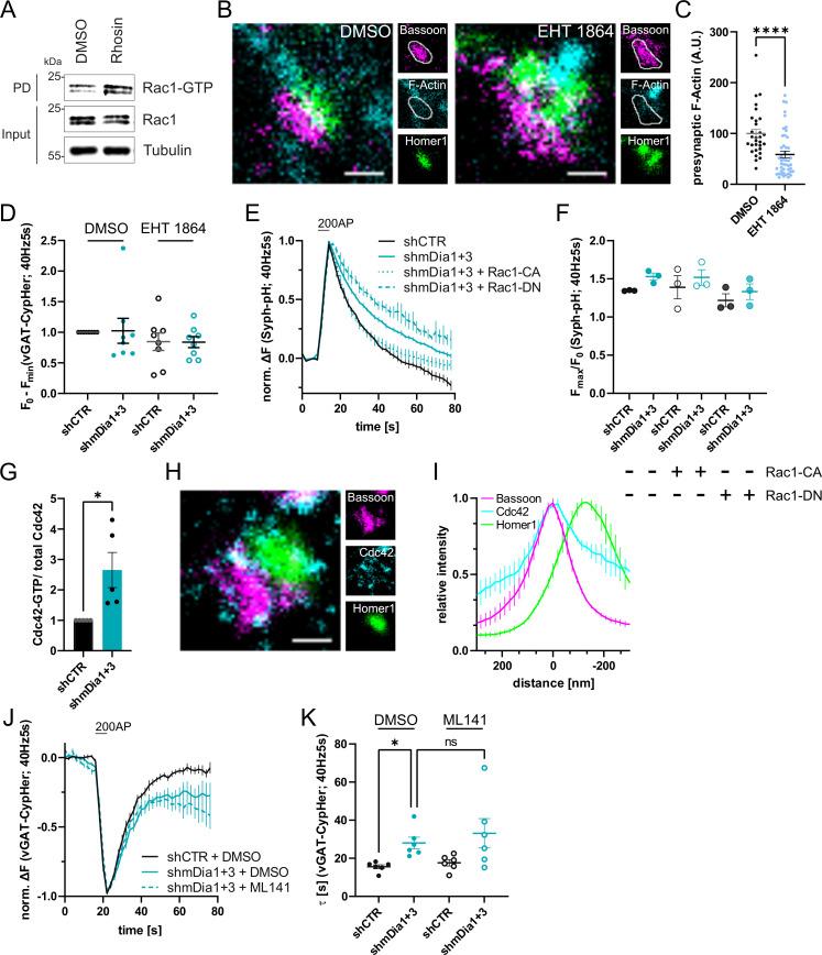 https://cdn.ncbi.nlm.nih.gov/pmc/blobs/ea49/10950329/1ab382eaa8c5/elife-92755-fig6-figsupp1.jpg