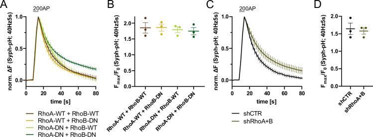https://cdn.ncbi.nlm.nih.gov/pmc/blobs/ea49/10950329/3111dccc4912/elife-92755-fig5-figsupp1.jpg
