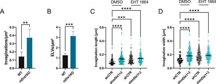 https://cdn.ncbi.nlm.nih.gov/pmc/blobs/ea49/10950329/796d026ca0a0/elife-92755-fig7-figsupp1.jpg