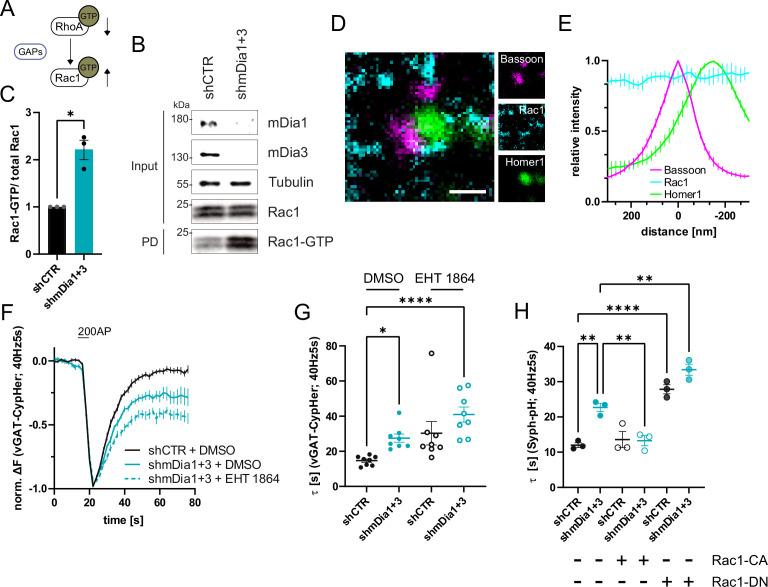 https://cdn.ncbi.nlm.nih.gov/pmc/blobs/ea49/10950329/b4294f379970/elife-92755-fig6.jpg