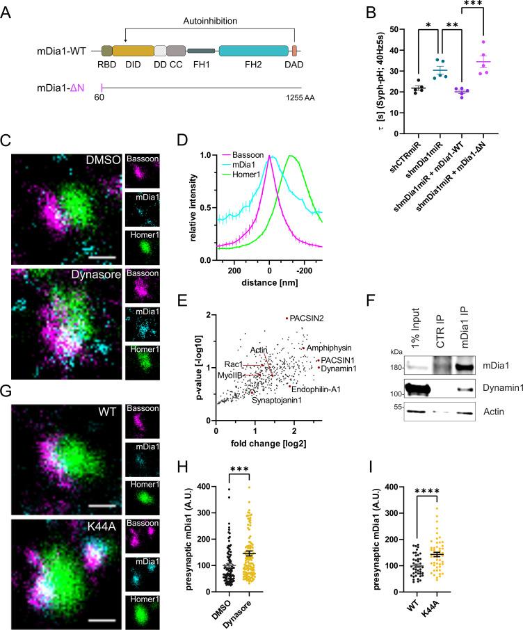 https://cdn.ncbi.nlm.nih.gov/pmc/blobs/ea49/10950329/b97a0db1a151/elife-92755-fig3.jpg