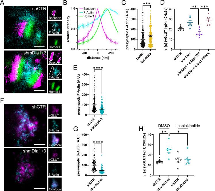 https://cdn.ncbi.nlm.nih.gov/pmc/blobs/ea49/10950329/cfcde80b8b9e/elife-92755-fig4.jpg