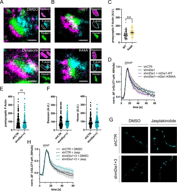 https://cdn.ncbi.nlm.nih.gov/pmc/blobs/ea49/10950329/d8c4b9927aed/elife-92755-fig4-figsupp1.jpg