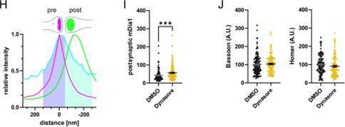 https://cdn.ncbi.nlm.nih.gov/pmc/blobs/ea49/10950329/fb117214d51d/elife-92755-sa3-fig1.jpg